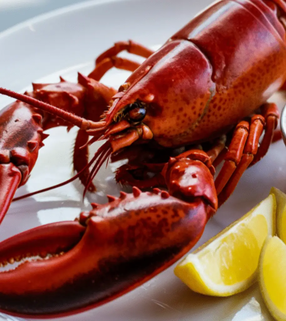  Boiled Maine Lobster